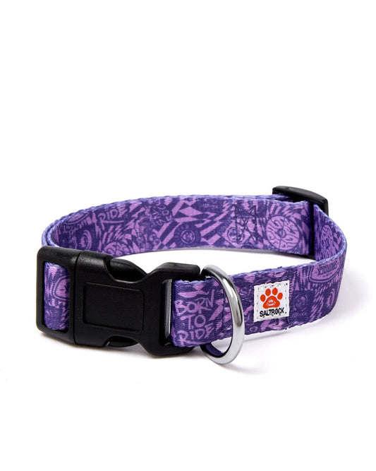 Branded - Dog Collar - Purple