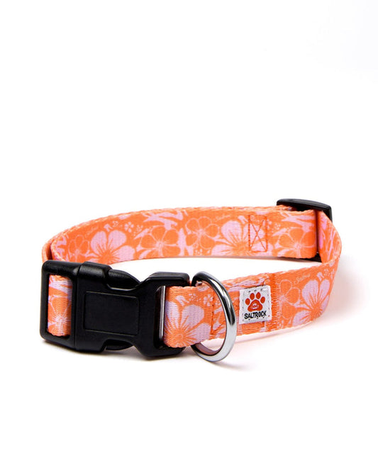 Hibiscus - Dog Collar - Orange