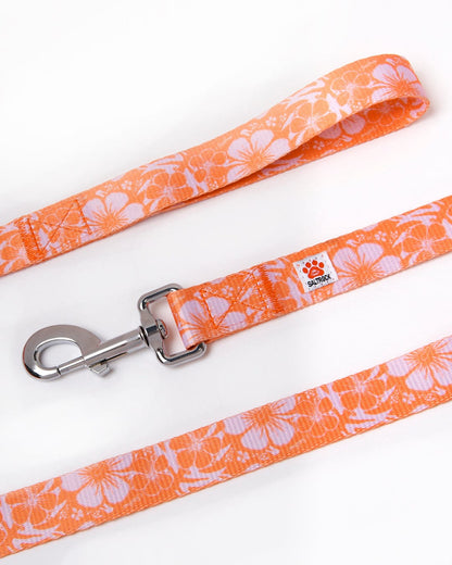 Hibiscus - Dog Lead - Orange