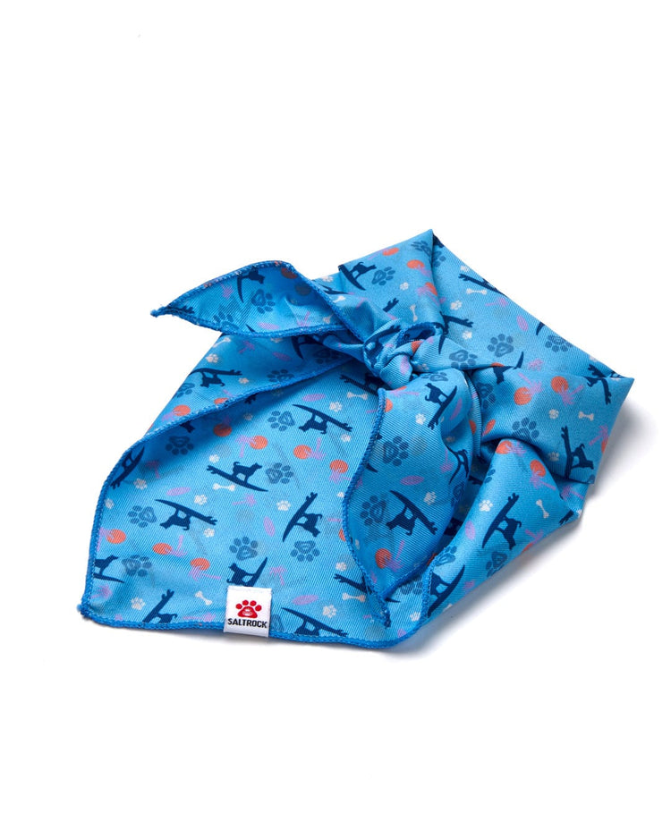 Paw Print - Pet Bandana - Blue